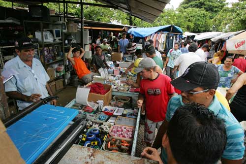 feira passaros